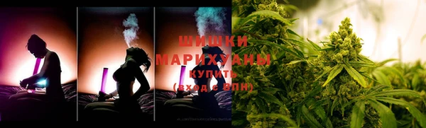 молекула духа Осинники