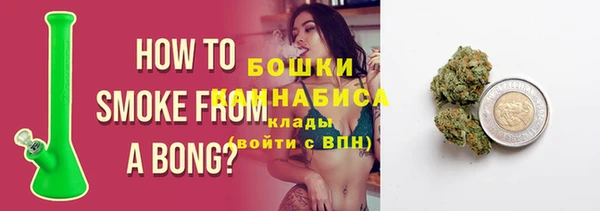молекула духа Осинники