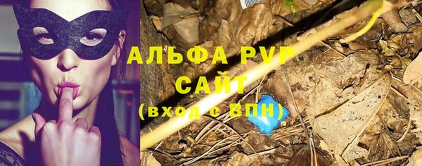 молекула духа Осинники