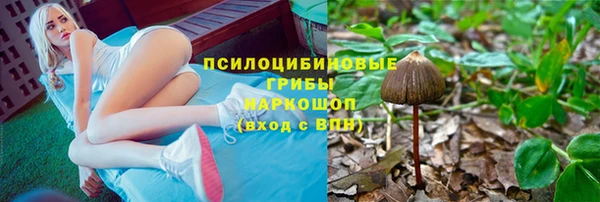 молекула духа Осинники