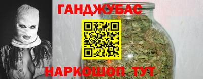 амф Гусев