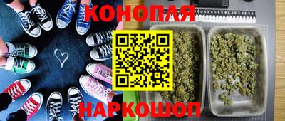амф Гусев