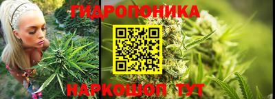 a pvp Гусиноозёрск