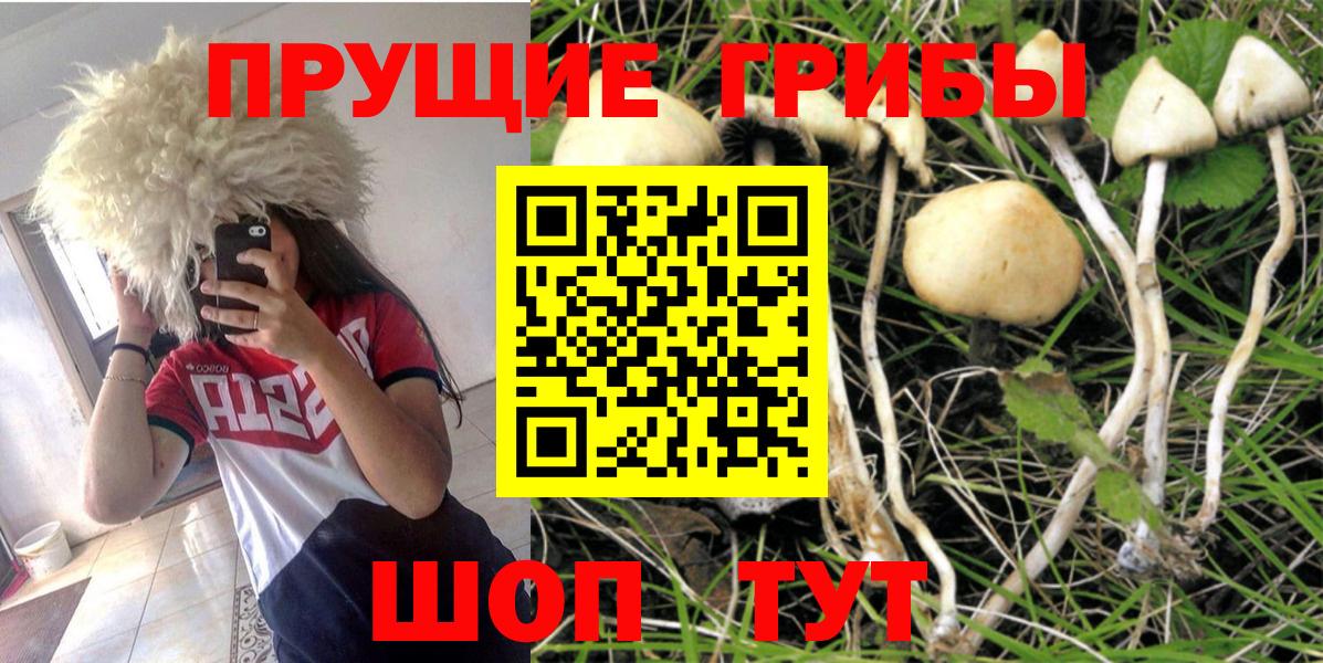 Галлюциногенные грибы Cubensis Уварово