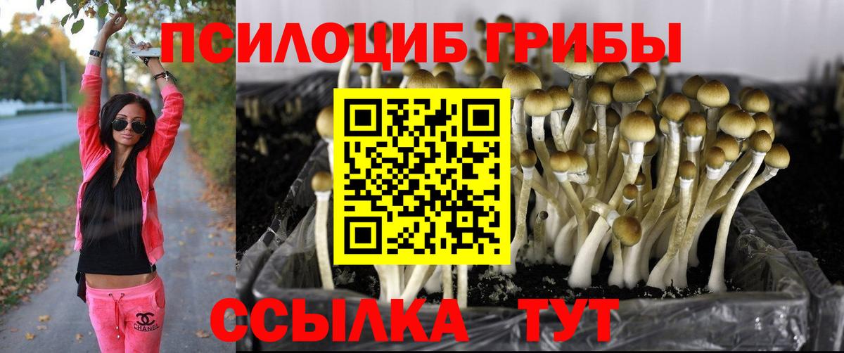 Уварово  купить наркотик  Вход с VPN  Галлюциногенные грибы MAGIC MUSHROOMS 